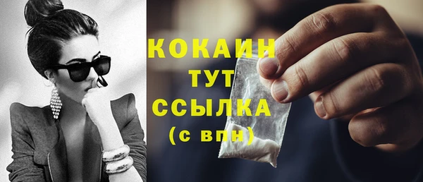 гашик Арсеньев