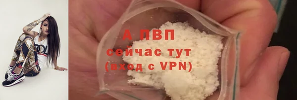 гашик Арсеньев