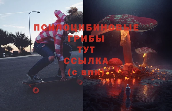 гашик Арсеньев