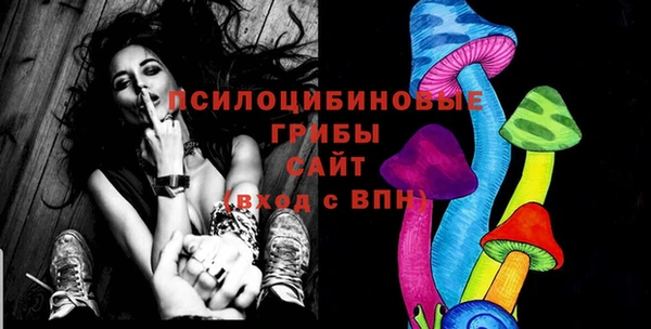 гашик Арсеньев